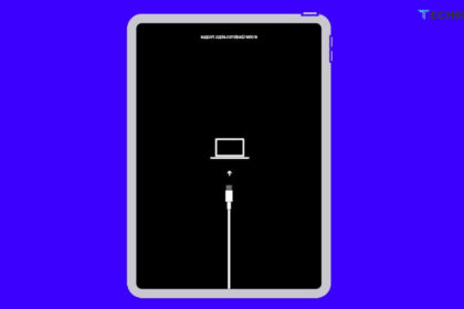 iPad Disabled Connect to iTunes