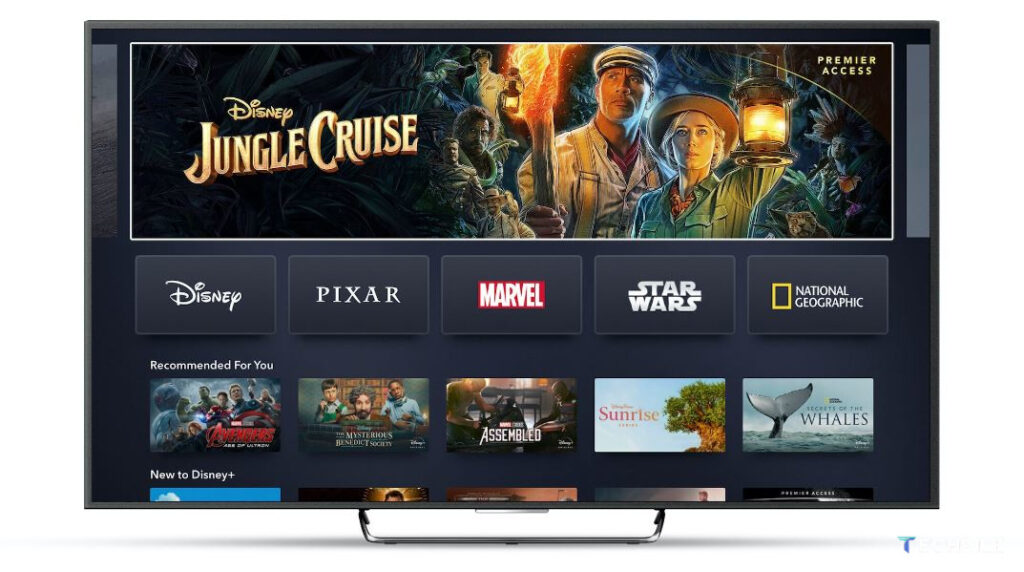 Disney+ App - How to Setup, Login & Logout on TV