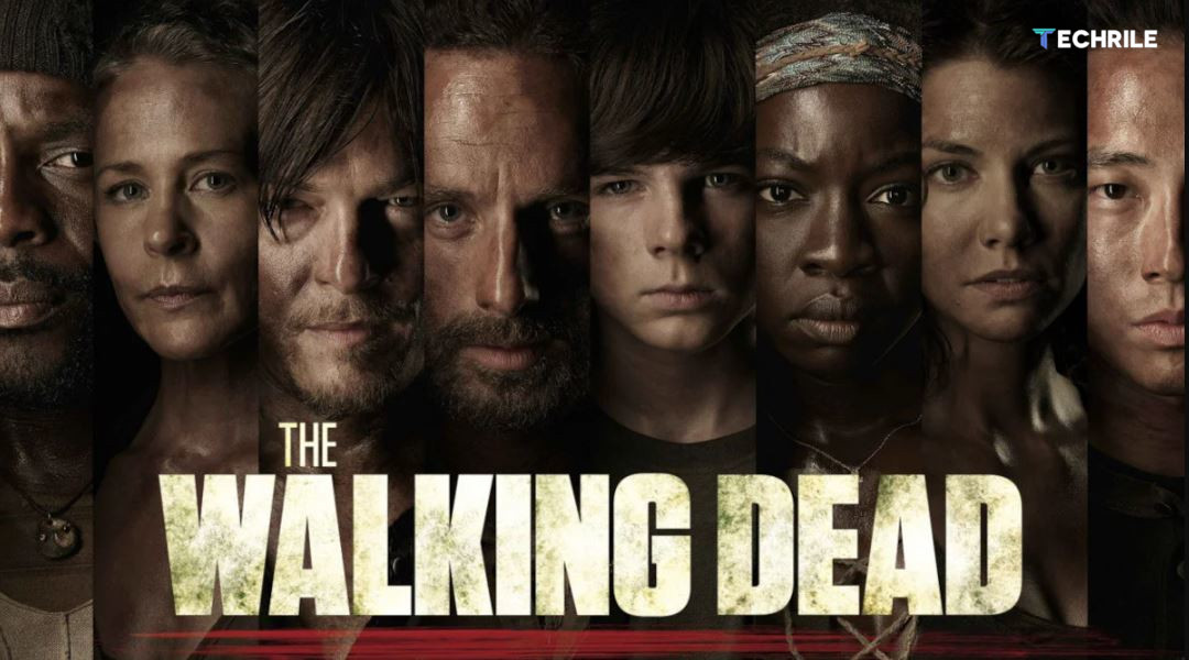 The Walking Dead -What Are the Future Series of the Zombie Franchise